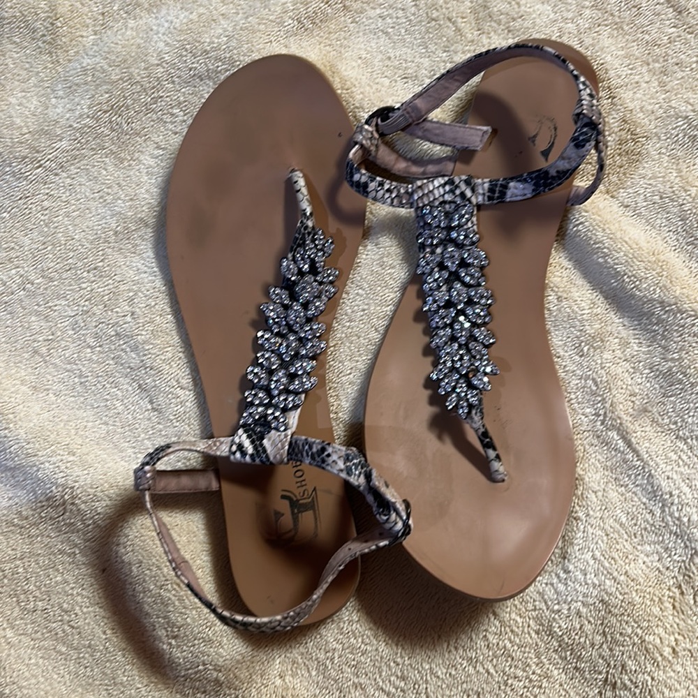 CG Shoes